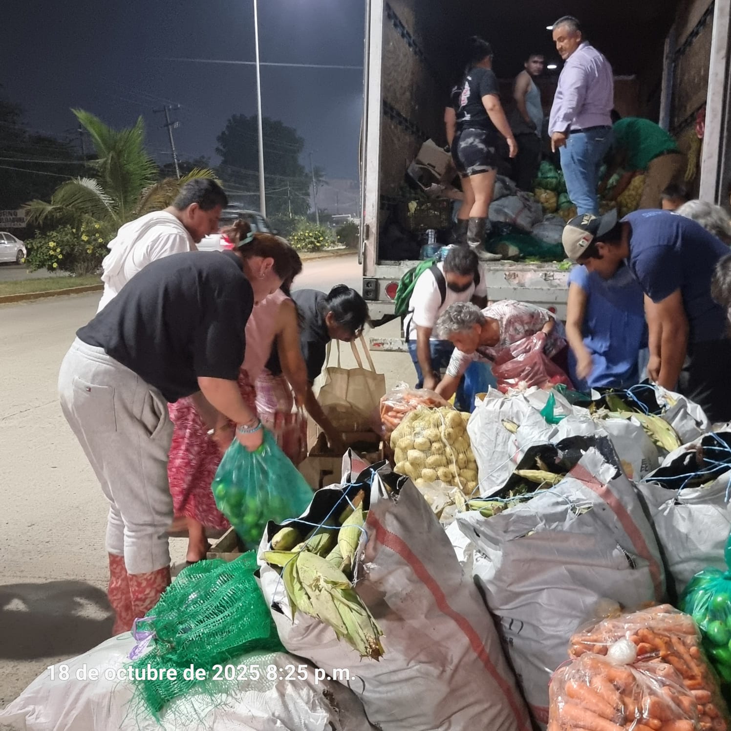 WhatsApp Image 2025-10-19 at 1.22.20 PM (4)